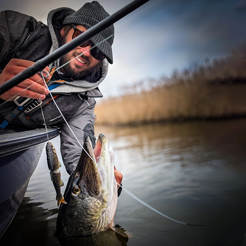 Savage Gear 3D Line Through Glide Roach 17cm/78g